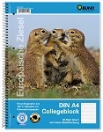 collegeblok
A4
lijn
Siesel